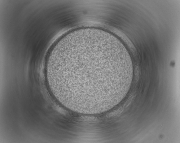 X0000116610886201001221316