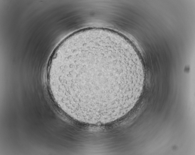 X0000116610887201001221316