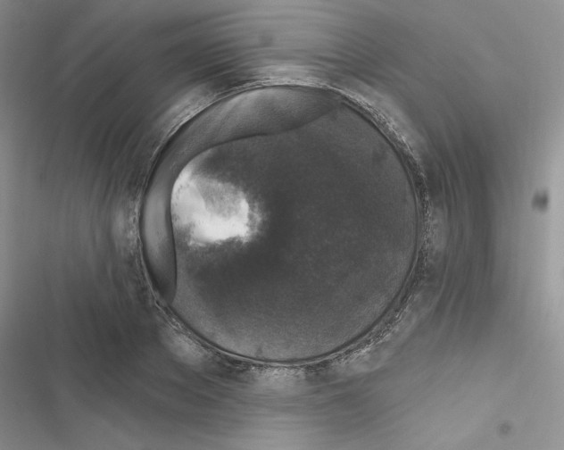 X0000116610889201001221316