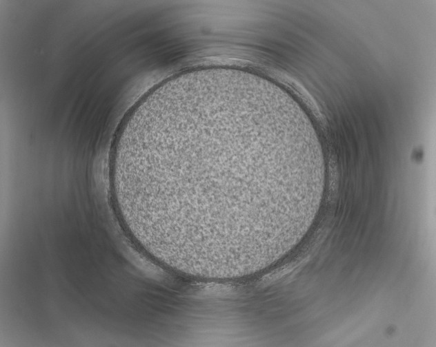 X0000116610890201001221316