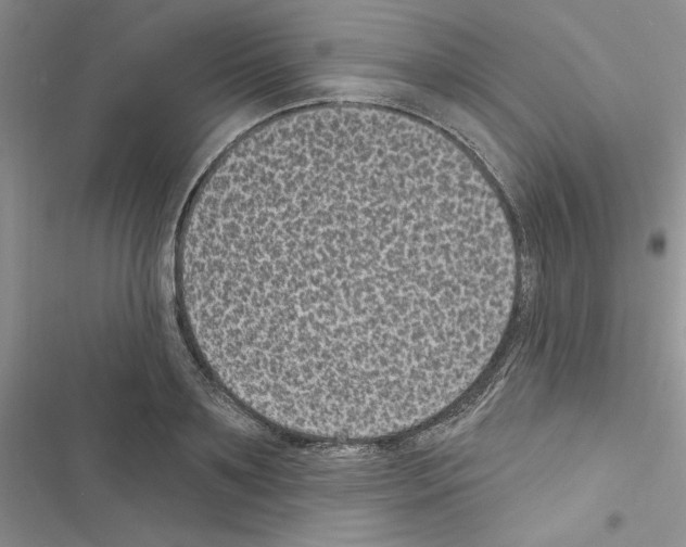 X0000116610891201001221316