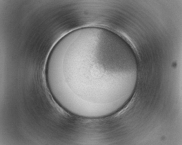 X0000116610892201001221316