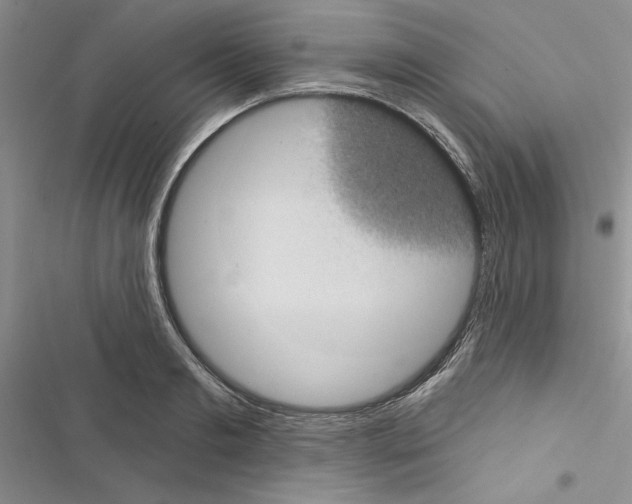 X0000116610893201001221316