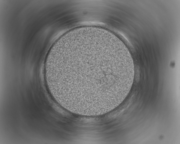 X0000116610895201001221316