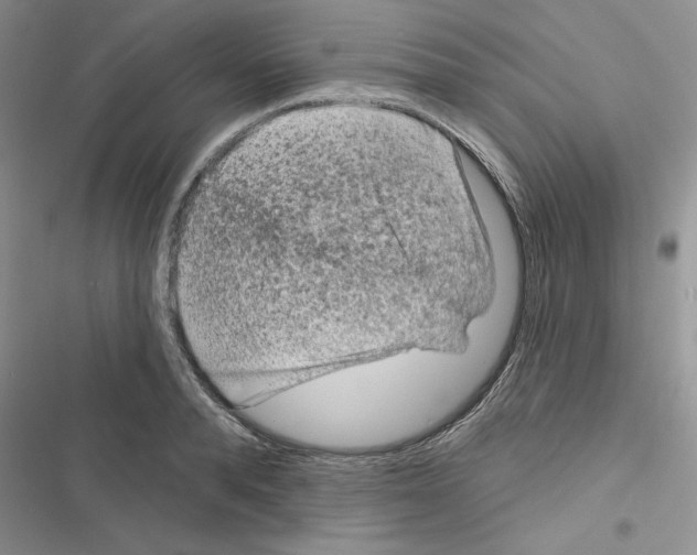 X0000116610896201001221316