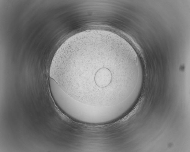 X0000116610897201001221316