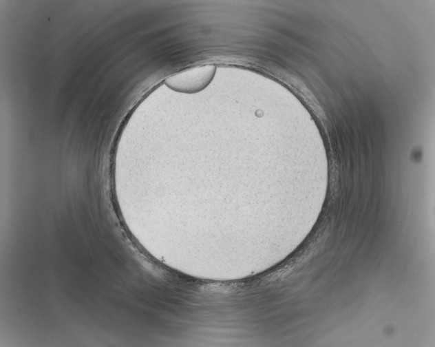 X0000116610898201001221316