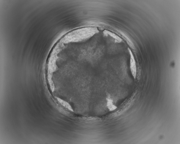 X0000116610899201001221316