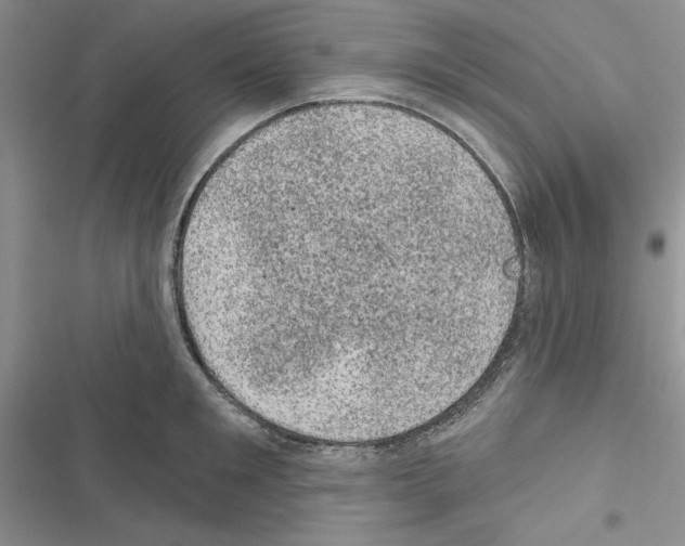 X0000116610901201001221316