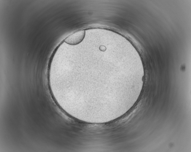 X0000116610902201001221316