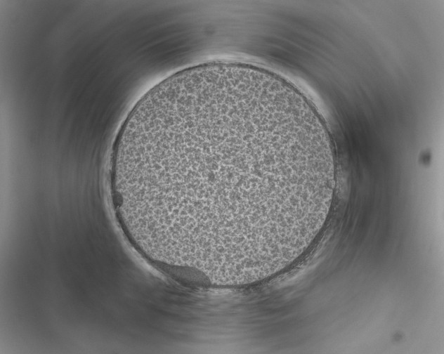 X0000116610903201001221316