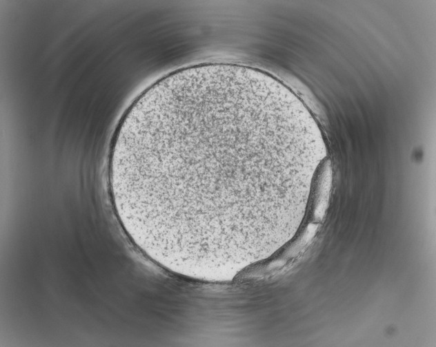 X0000116610904201001221316