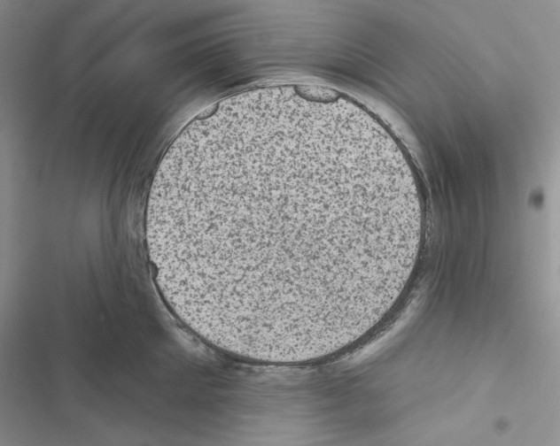 X0000116610905201001221316