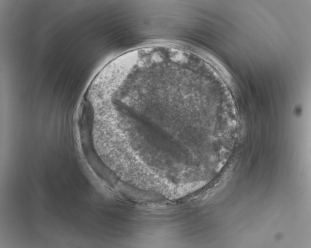 X0000116610907201001221316