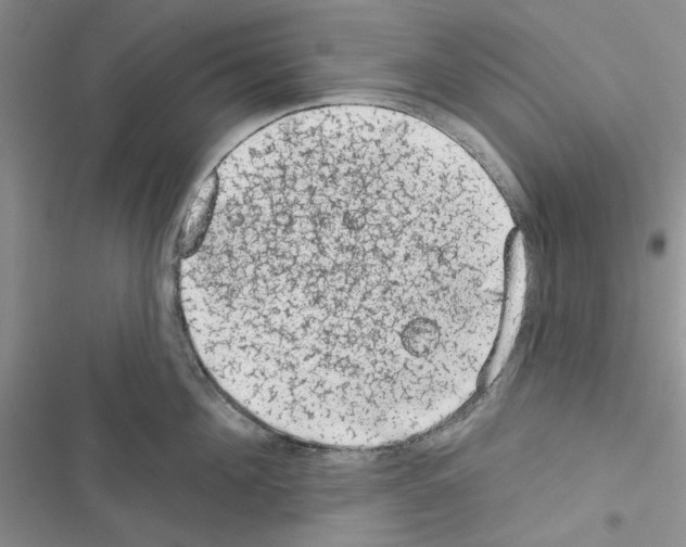 X0000116610908201001221316