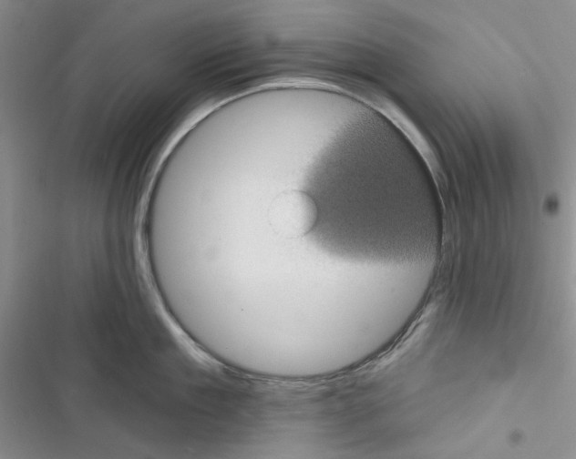 X0000116610909201001221316