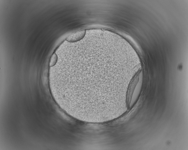 X0000116610910201001221316