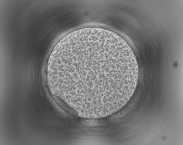 X0000116610911201001221316