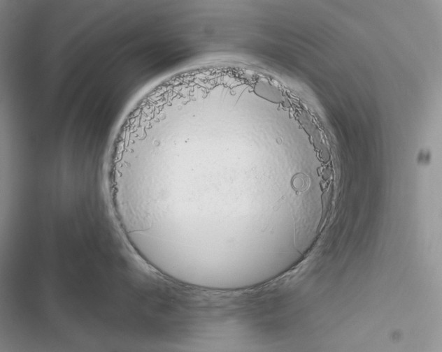 X0000116610912201001221316