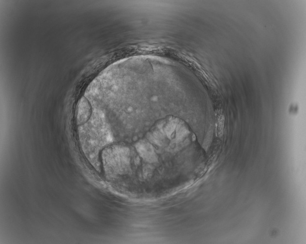 X0000116610913201001221315