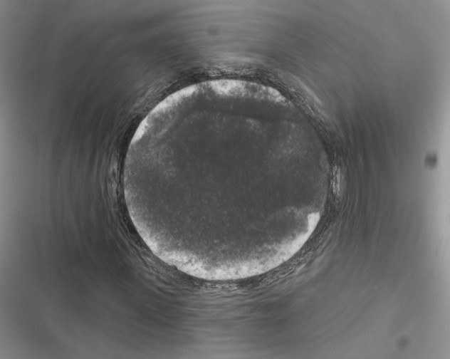 X0000116610915201001221315