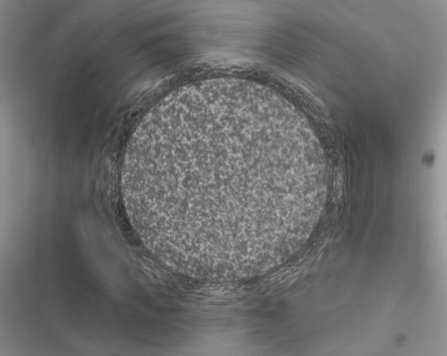 X0000116610917201001221315