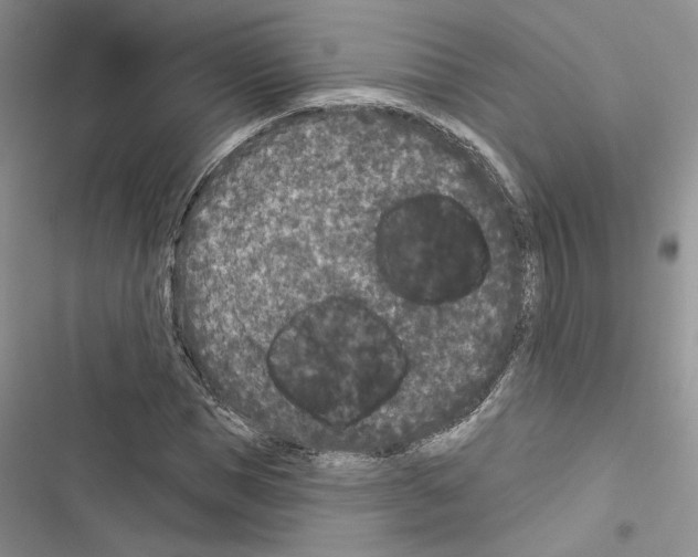 X0000116610921201001221316