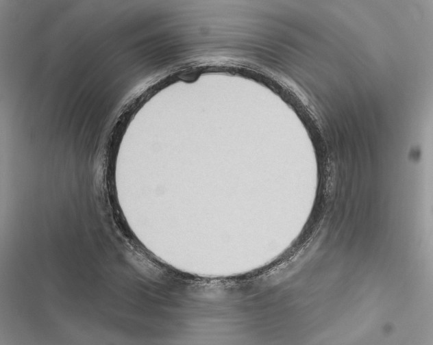 X0000116610922201001221316