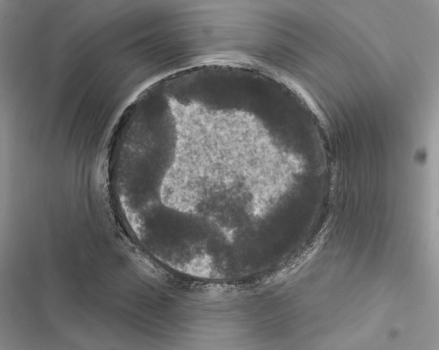 X0000116610923201001221316