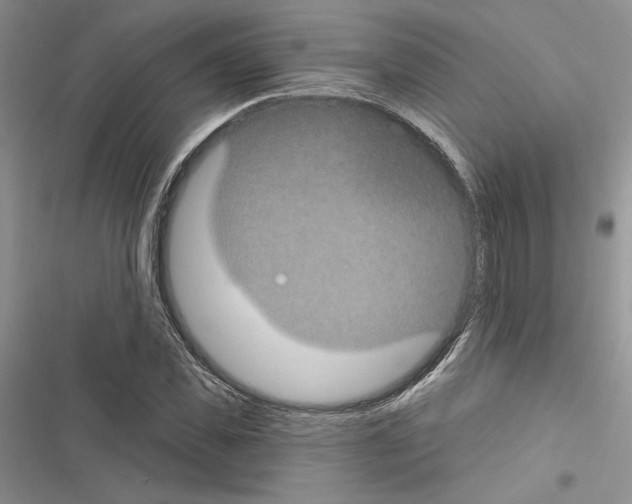 X0000116610925201001221316