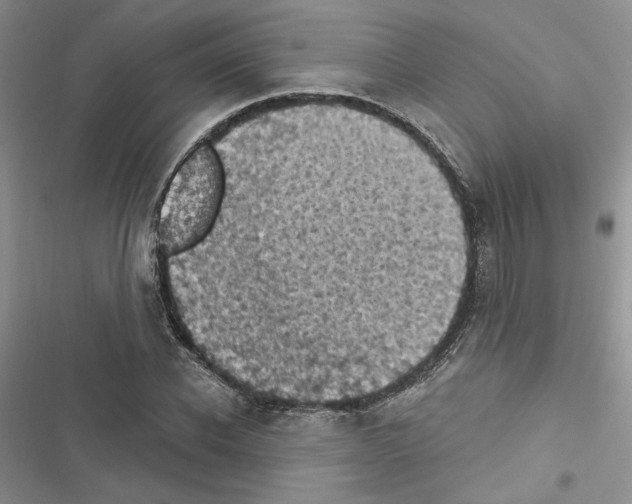 X0000116610926201001221316