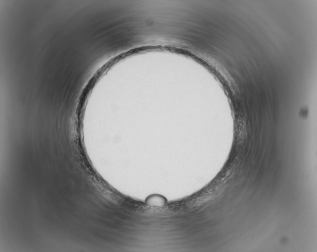 X0000116610927201001221316