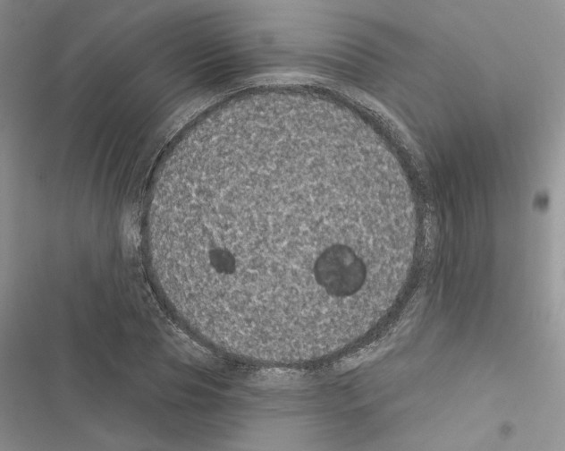 X0000116610929201001221316