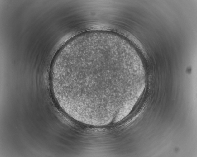 X0000116610930201001221316