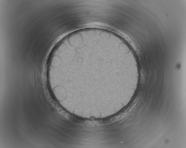 X0000116610931201001221316