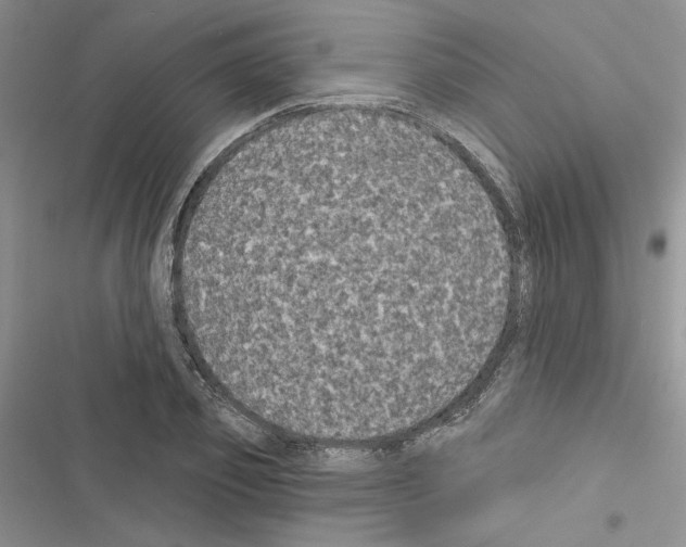 X0000116610933201001221316