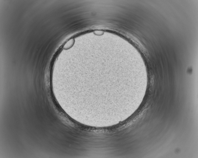 X0000116610934201001221316