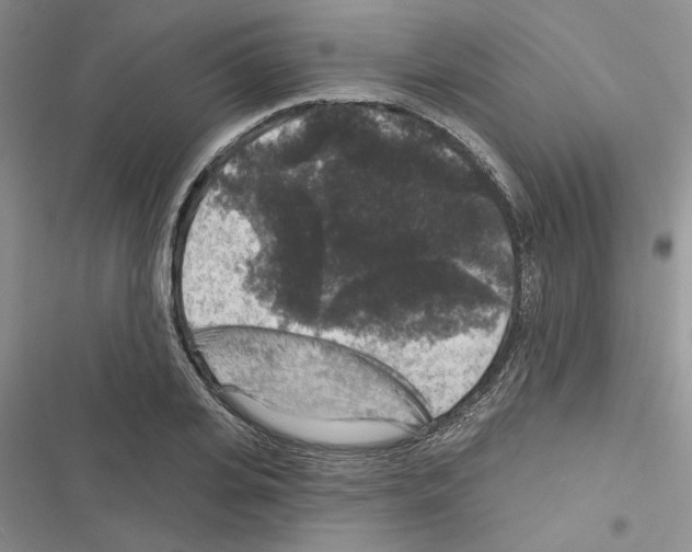 X0000116610935201001221316