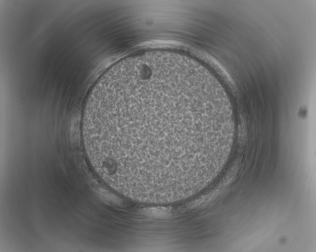 X0000116610937201001221316