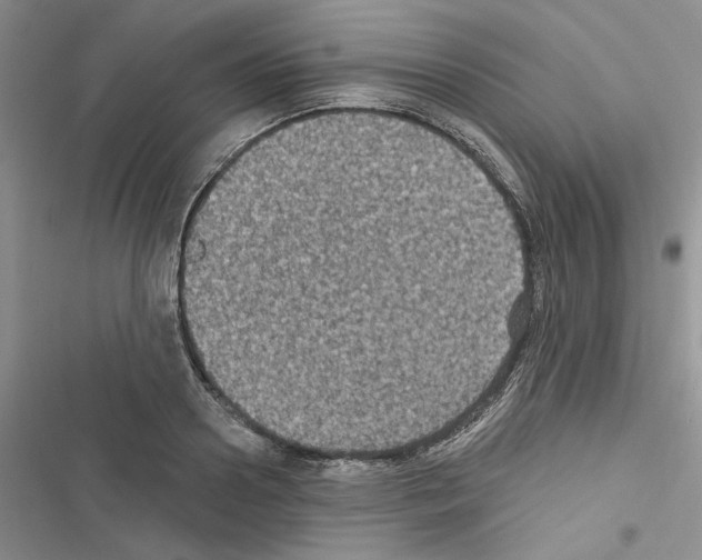 X0000116610938201001221316