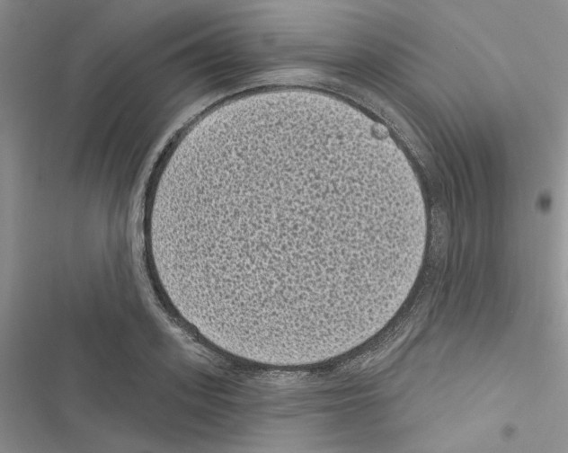 X0000116610939201001221316