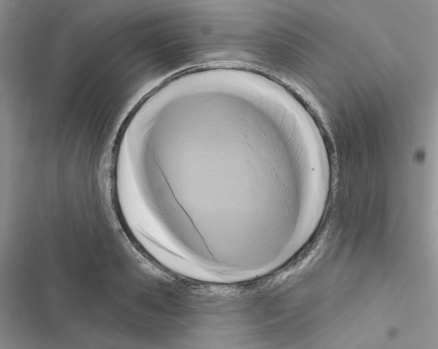 X0000116610941201001221316