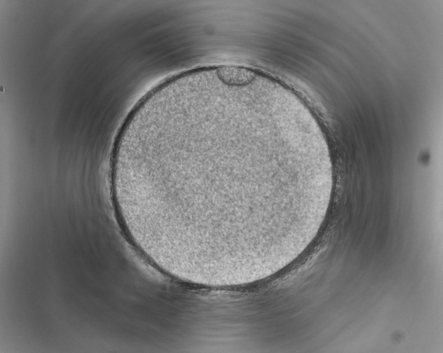 X0000116610942201001221316