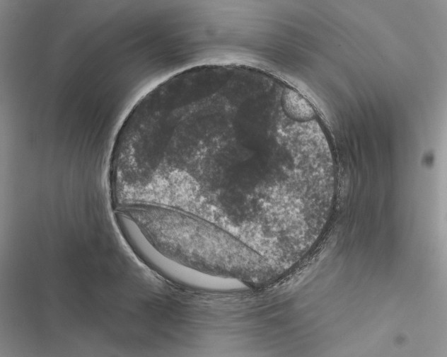 X0000116610943201001221316