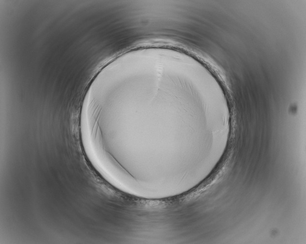 X0000116610945201001221316