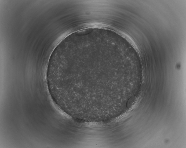 X0000116610946201001221316