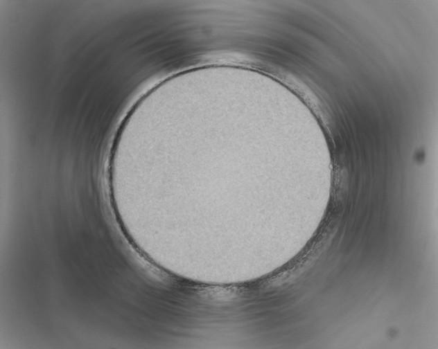 X0000116610947201001221316