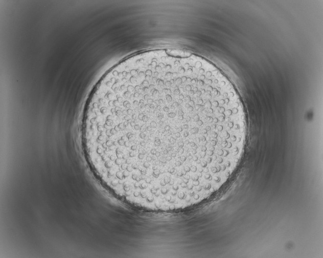 X0000116610949201001221316