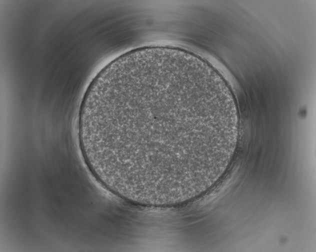 X0000116610951201001221316