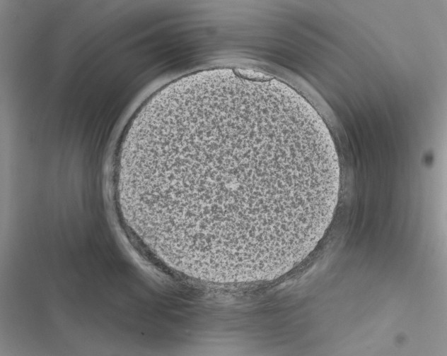 X0000116610955201001221316